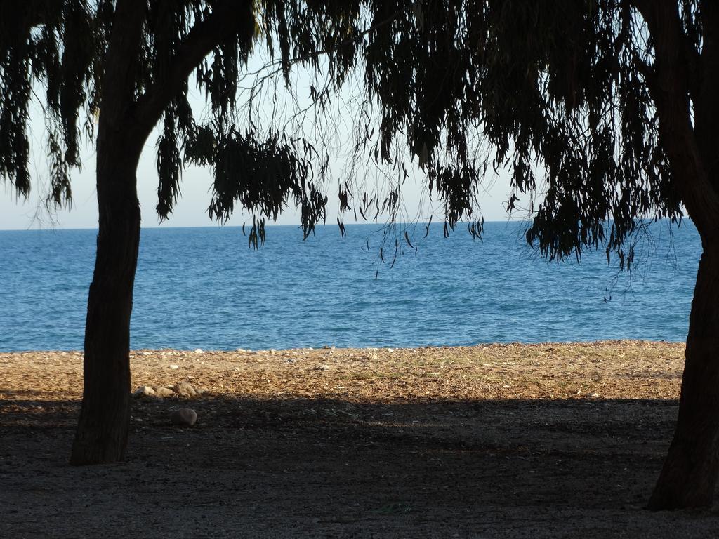 ויאחויוסה Camping El Torres מראה חיצוני תמונה